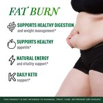 Weight Loss Capsules Factory - OEM/ODM Wholesale Vegan Belly Fat Burner Flat Burner