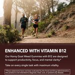 Vitamin Supplement Manufacturer - OEM Wholesale Folic Acid Adult Herbal