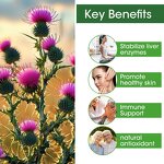 Creatine Supplement Manufacturer - OEM/ODM Vegetarian Creatine Muscle Adult