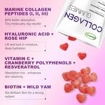 Herbal Supplement Manufacturer - Wholesale Vegetarian Vitamin C Immune Adult