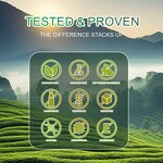 Weight Loss Capsules Factory - OEM Slimming Green Tea Antioxidant Immune