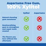 Sugar-Free Supplement Manufacturer - OEM Wholesale Sugar-Free Xylitol Gum Adult