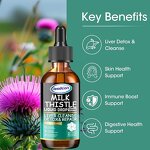 Herbal Supplement Manufacturer - OEM Private Label Moringa 60ml Metabolism