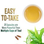 Weight Loss Capsules Factory - OEM Slimming Green Tea Antioxidant Immune