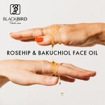 Face Oil Manufacturer - Private Label Vegan Organic Rosehip Bakuchiol Anti Wrinkle