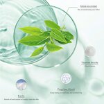 Face Clay Mask Manufacturer - Private Label Blackhead Removal with Australian Green Tea