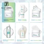 Face Cream Mask Manufacturer - Private Label Vegan Herbal Acne Lighting Probiotic Soothing