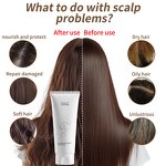 Shampoo Manufacturer - OEM Factory Direct Sale Sulfate-Free Sea Salt Amino Acid Curly Oily Hair Rich Foam Hair Care