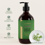 Ginger Set Manufacturer - Moisturizing Hair Shampoo Conditioner Oil Controlling Repair Customization