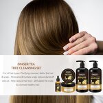 Ginger Shampoo Set Manufacturer - and Conditioner Nourishing Hair Mask Customized OEM