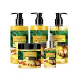 Hair Care Set Manufacturer - Wholesale OEM with Ginger Plant Extract Shampoo Gel Cream Mask