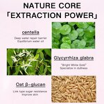 Anti-Aging Toner Manufacturer - AIFEILIER Natural Plant Extract Fullerene Hydrating Soothing Essence