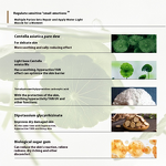 Face Cream Manufacturer - OEM Customized Centella Asiatica & Potassium Glycyrrhizinate Hydrogel