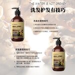 Rosemary Shampoo Manufacturer - Mint Factory Customized Soft Smooth Dandruff Reducing Oil Controlling
