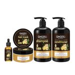 Ginger Shampoo Set Manufacturer - and Conditioner Nourishing Hair Mask Customized OEM