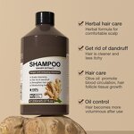 Ginger Shampoo Manufacturer - OEM Herbal for Home Use Prevents Hair Loss Controls Oil Soothes