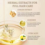 Hair Care Cream Manufacturer - Manufacturer Wholesale Ginger Includes Shampoo Conditioner Hair Mask