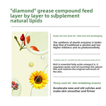 Facial Mask Manufacturer - 20% Organic Sea Buckthorn Fruit OEM Sleep Cream Moisturizing Collagen