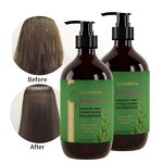 Ginger Set Manufacturer - Moisturizing Hair Shampoo Conditioner Oil Controlling Repair Customization