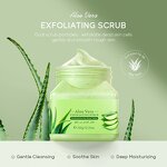 Avocado Body Scrub Manufacturer - 350g Nourishing Cream Exfoliation for Silky Skin Gentle Abrasion