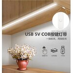 COB LED Strip - OEM 5V USB Self-Adhesive No Light Spot Flexible