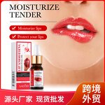 Lip Serum Oil - OEM SADOER 10ML Nourishing Hydrating Smoothing Dull Lips