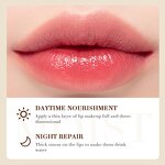 Coconut Lip Balm - OEM SADOER Custom Logo Anti-cracking Moisturizing Lip Care