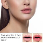 Aloe Vera Lip Balm - OEM EELHOE 4.7G Long Lasting Nourishing Moisturizing