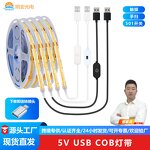 COB LED Strip - OEM 5V USB Self-Adhesive No Light Spot Flexible