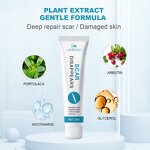 Scar Repair Cream - OEM Private Label Acne Pimples Melanin Reduce Smooth