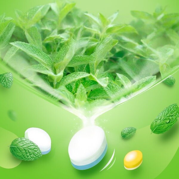 Mint Candy Factory - WRIGLEYSS Sugar Free Various Flavors Easy Carry Hard Tablet