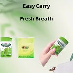 Mint Candy - WRIGLEYSS Sugar Free Various Flavors Easy Carry Fresh Breath Tablet