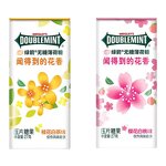 Hard Mint Candy - WRIGLEYSS White Peach White Tea Easy Carry Fresh Breath Tablet