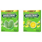 Mint Chewing Gum - 12pcs Multi Fruit Flavor Easy Carry Fresh Breath Leisure Candy