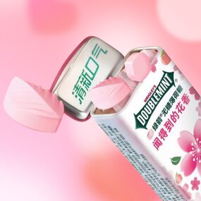 Hard Mint Candy - WRIGLEYSS White Peach White Tea Easy Carry Fresh Breath Tablet