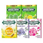 Mint Chewing Gum - 12pcs Multi Fruit Flavor Easy Carry Fresh Breath Leisure Candy