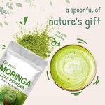 Moringa Leaf Powder - Halal Organic Antioxidant Vitamin Rich USA Extract Powder