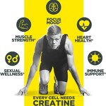 Creatine Powder - Custom Label Pre Workout Muscle Energy Endurance Supplement