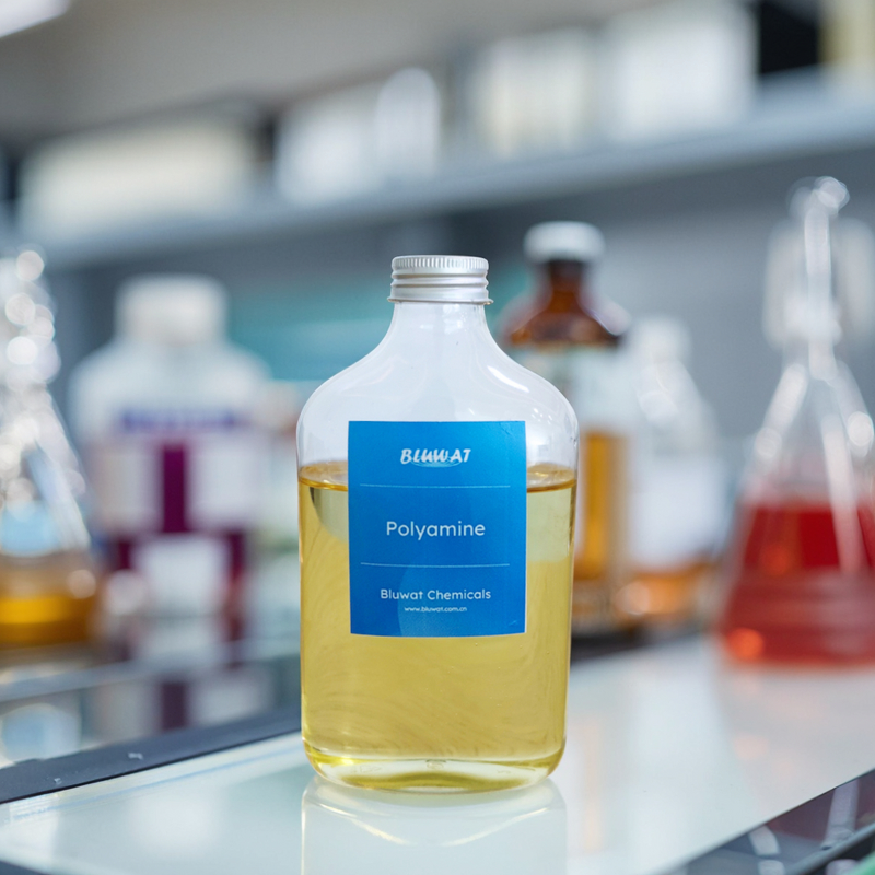 Polyamine Solution Manufacturer - for Biogas Plant Digestate Treatment