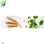 毛孔清洁精华生产商-水杨酸痤疮治疗