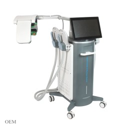 EMS身体塑形仪工厂-RF 4手具10D激光