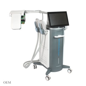 EMS Body Sculpting Machine Factory - RF 4 Handles 10d Laser