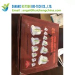 拔罐杯生产商- Hijama 真空吸力套装