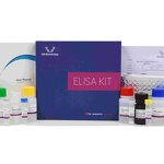 PCT ELISA Kit - EasyStep Human Procalcitonin Research Use Only