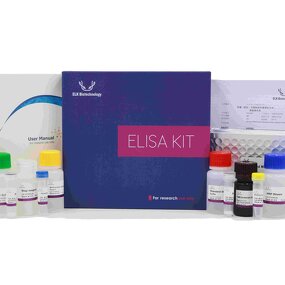 PCT ELISA Kit - EasyStep Human Procalcitonin Research Use Only