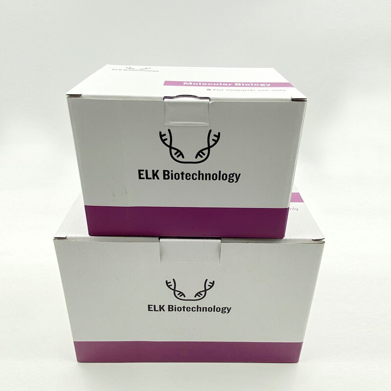 Plant Fungal DNA Extraction Kit - Dual Use Research Grade Nucleic Acid Isolation