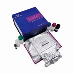 PGII ELISA Kit - EasyStep Human Pepsinogen II Time-Saving Research Assay