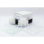 Bacterial DNA Extraction Kit - High Purity Research Grade Microbial Isolation