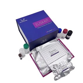 SOD ELISA Kit - Human Superoxide Dismutases Research Use Assay Kit
