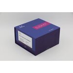 Pinp ELISA Kit - Rat Procollagen I N-Terminal Propeptide Research Use